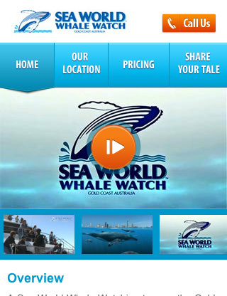 Sea World Whale Watch